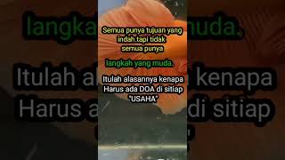 jangan lupa selalu berdoa #motivation #motivasihidup