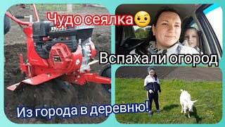 Отличная погода! Чудо аппарат для бурака! Испытали новый мотокультиватор!