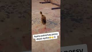 Ayesha patrol kay pessy dejao#shortsfeed #shortsvideo #viralvideo #shorts #funnyshorts #funny #viral