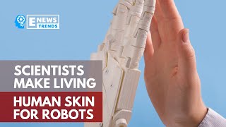 Scientists Make Living Human Skin for Robots