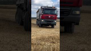 Tatra na sklizni obilí 🚚 #truck #farm #farmvlog #farming #tatra #farmer #machine