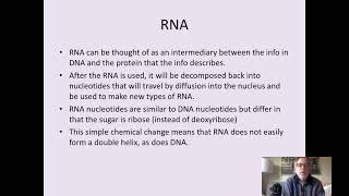 B4-4 Overview Transcription & Translation