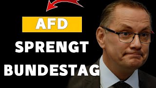 Panik im SPD: AfD erschüttert alle!