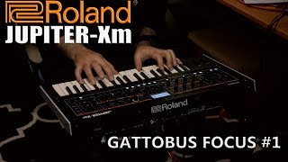 Roland Jupiter-Xm Focus - Model Banks e filtri by Gattobus