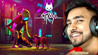 ROBOTS HELPING ME TO ESCAPE THIS CITY 🔥 | STRAY GAMEPLAY #2