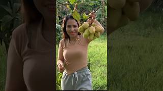 Spicy 🌶️ eating mango #asmr #eatingsounds