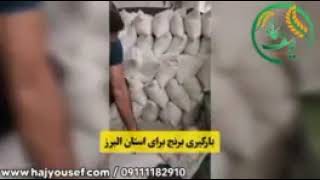 بارگیری برنج برای استان البرز