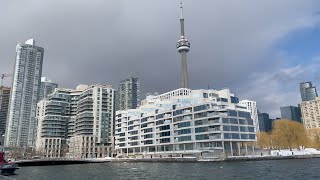 Toronto Downtown | Walking Tour | Harbourfront | Lakeshore | Canada #shortsvideo #shorts #toronto