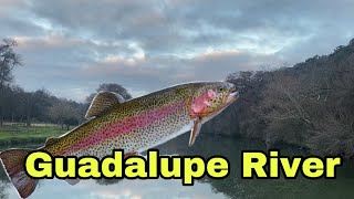 Rainbow Trout Fishing on the Guadalupe River Dec/22/2022