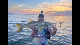 The Long, Hard, Grind: 10 Exhausting Days Hunting Trophy Snook, Tarpon & Reds in Sarasota