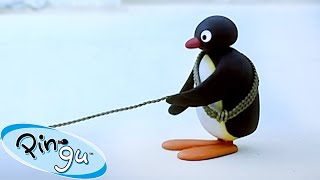 A Balancing Act! 🐧 | Pingu - Official Channel | Cartoons For Kids