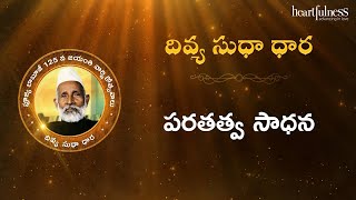 Divya Sudha Dhara | పరతత్వ సాధన | Heartfulness Telugu | 15-11-2024