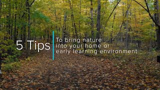 5 tips to bring nature into the early learning environment