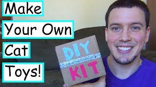 DIY Smores Cat Toy Kit | Miss Maddy Makes DIY Kit Review/Attempt