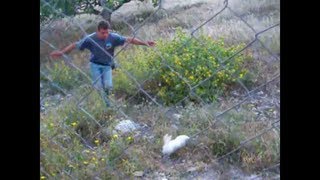 Easter bunny catch fail...And fall(λαγοί και πετραρχίδια)