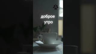 Доброго утра  #алматы  #утреннийкофе  #доброеутро