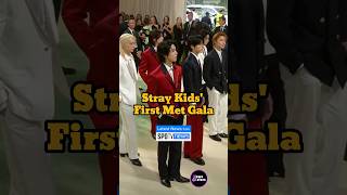 Stray Kids' First Met Gala #straykids