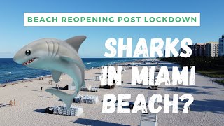 Sharks in Miami Beach? Drone footage: Reopening the beaches after Covid-19 lockdown