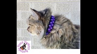 How to make a paracord cat collar - stitched Solomon's dragon