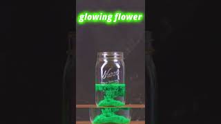 #shorts #experiment color changing flower experiment