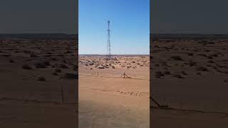 Saudi Arabia Desert 🏜️🐪🏝️🐫#saudiarabia #desert