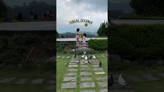 Puncak Sekawan