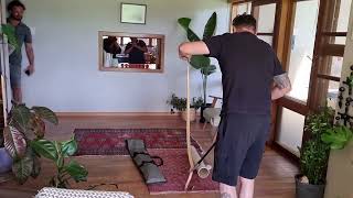 Cape Cobra under a couch in someone's home.