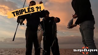 Shore jigging Marseille - Triple strike on the rocks [Triplé de bonite du bord]