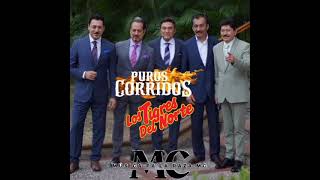 Mix De Puros Corridos De Los Tigres Del Norte