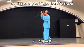 42 Form Tai Chi Sword (Back View) (2013.09.28)