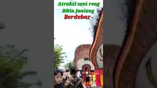 Lihat Atraksi Seni Reog bikin jantung mau copot#shorts.