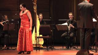 Dutch Flamenco Biennale 2011 - Mauricio Sotelo part 1