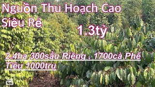 (Đã bán))siêu phẩm cafe tiêu sầu riêng nguon thu mạnh giá rẻ chỉ 1 ty 350 có tl nhẹ để lại toàn bộ