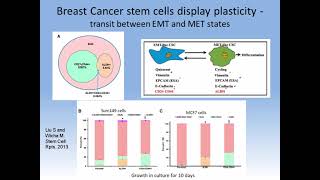 Cancer Stem Cells, Hypoxia and Tumor Treatment Response