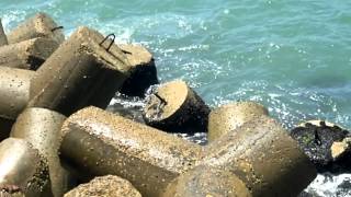 شاطئ غزة منظر رائع جدا GAZA BEACH