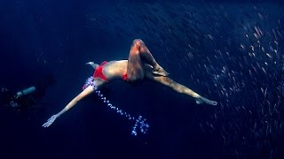 SARDINE THRILLER. Underwater Model Shoot in Moalboal