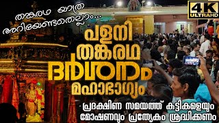 പളനിയിലെ തങ്കരഥം കാണുന്നത് മഹാഭാഗ്യമാണ് | Palani Thanka Ther Malayalam Video | Thanka Radham