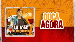 São João Do Vaqueiro - José De Gado O Vaqueiro Testado