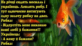 5 анекдотів для гарного настрою