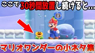 スーパーマリオブラザーズワンダーの細かすぎる小ネタ集