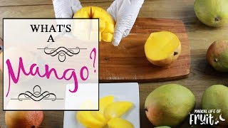 What's a mango?