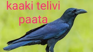 kaki telivi song telugu