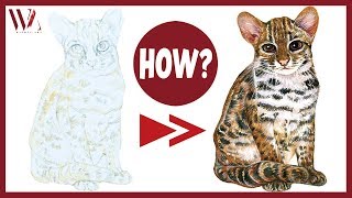 How to Paint Leopard Cat using Watercolor | Realistic Animal Painting Tutorial- Windy Shih