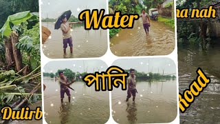 Assam bajali district majgaon water পানি