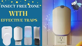 Best Plug In Fruit Fly Traps That Works (Insect-Free Zone With Effortlessly)