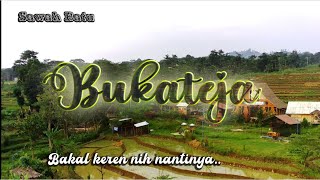 SAWAH BATU BUKATEJA.  CALON TEMPAT WISATA ALAM YANG APIK || WISATA ALTERNATIF || WISATA TEGAL