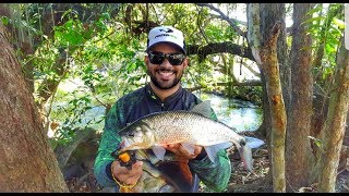 "Cantei a pedra de onde estava o peixe!" Piabanhas do Rio Itabapoana - Pescaria