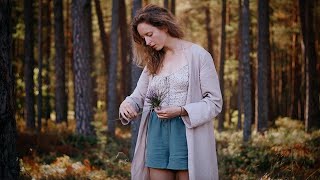 Gathering and Making Herbal Teas for Winter