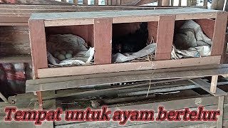 Contoh: Tempat ayam bertelur yang baik