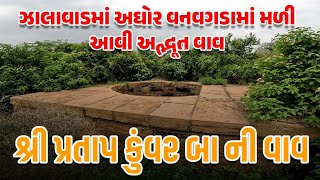 ઝાલાવાડમાં અઘોર વનવગડામાં મળી આવી અદ્ભૂત વાવ શ્રી પ્રતાપ કુંવર બા ની વાવ